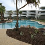 Our award winning free form and lap pools at Cotton Beach