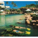 Marriott Resort complete with marine life & artificial rockwork